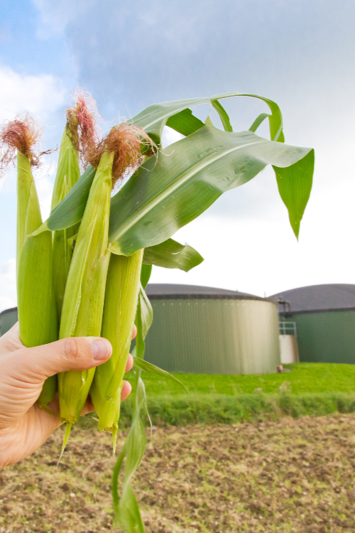 bioenergie-biometan-agriportance
