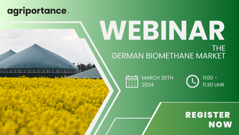 The German biomethane market – the update
